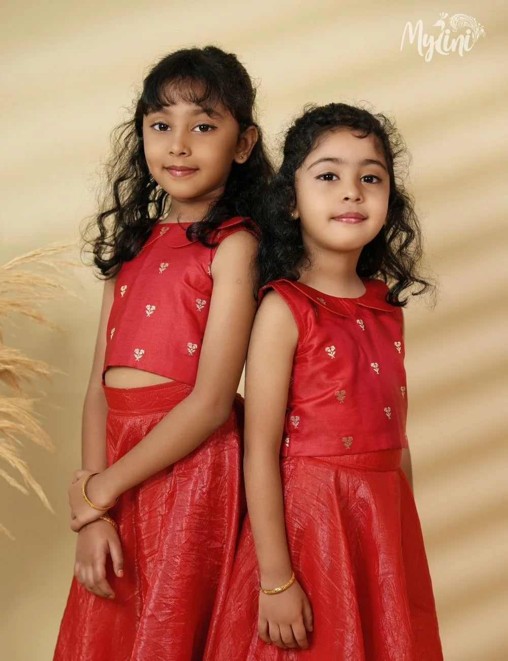 Royal Red Banarasi dress