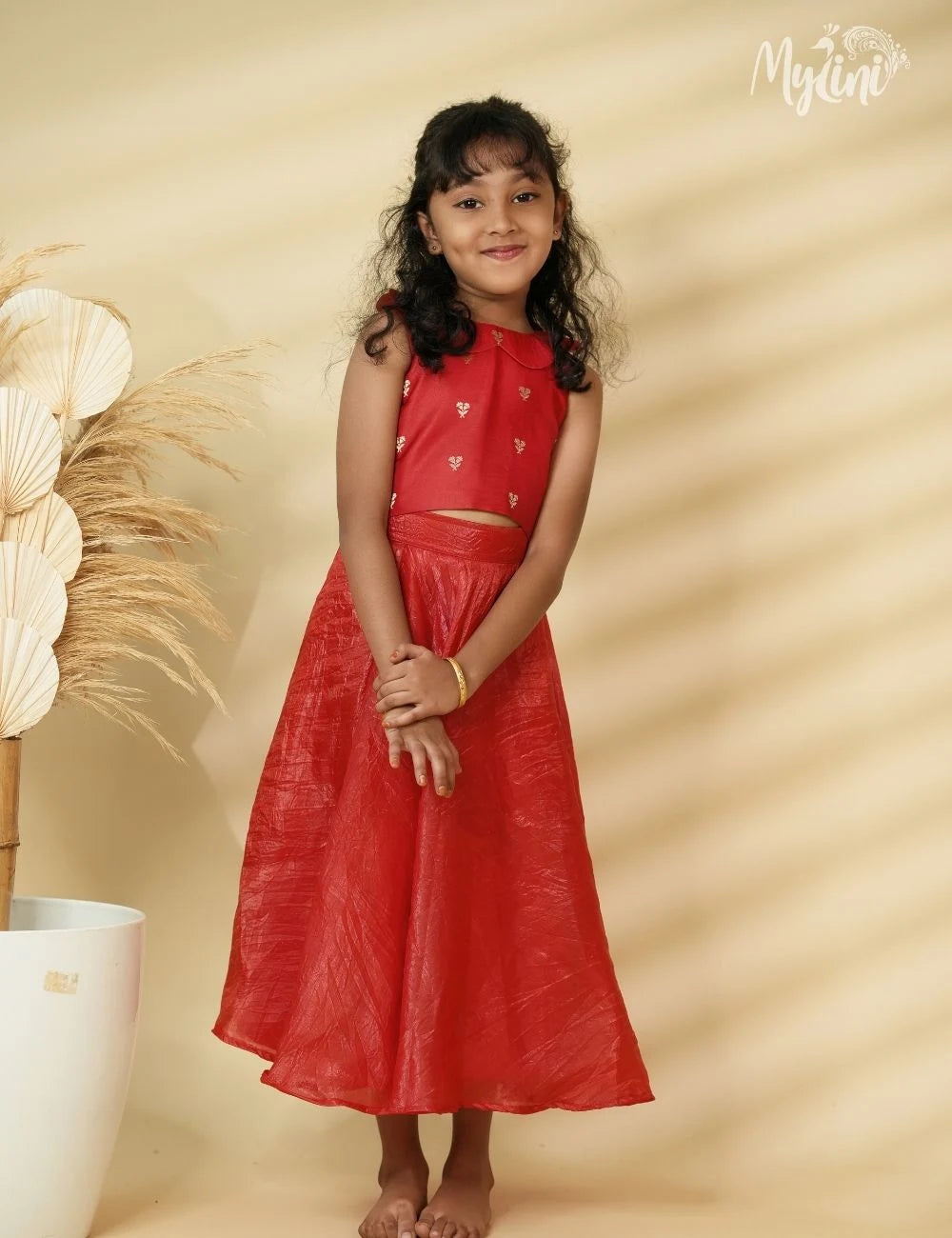Royal Red Banarasi dress