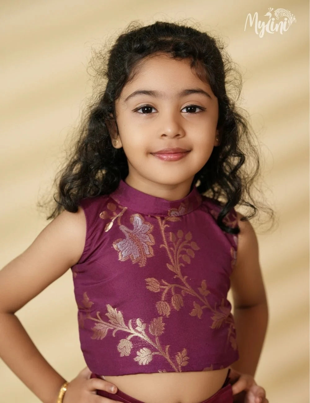 Royal Purple Banarasi dress